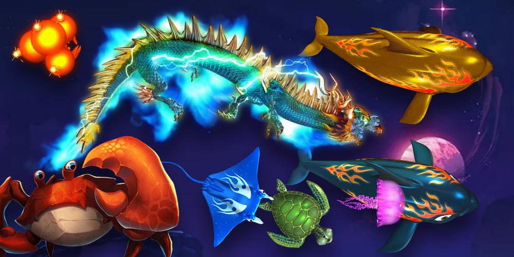 यहाँ की अद्भुत विशेषताएँ